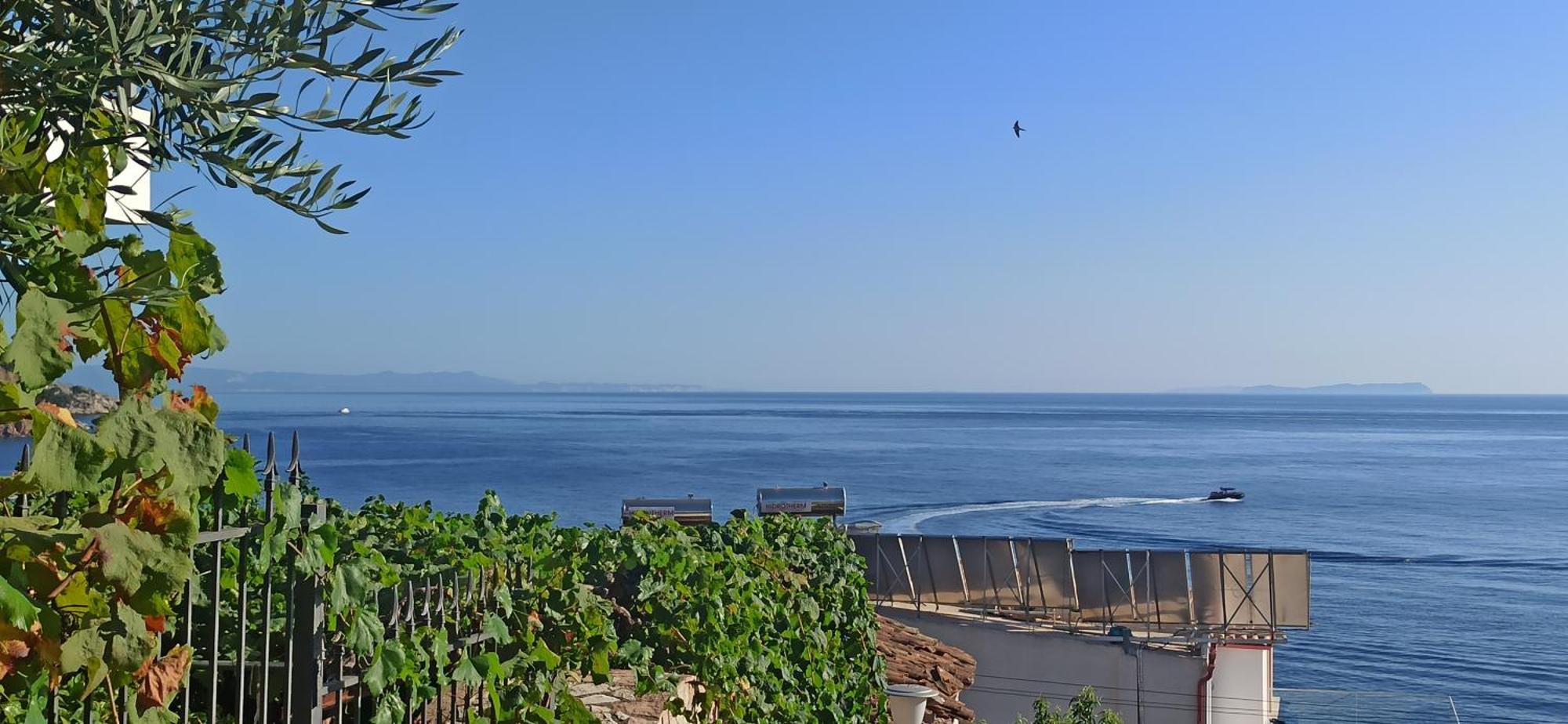 Relaxation Place Ξενοδοχείο Χειμάρρα Εξωτερικό φωτογραφία