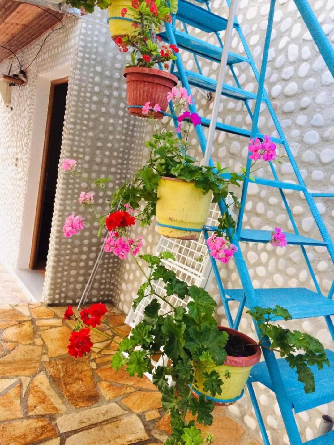 Relaxation Place Ξενοδοχείο Χειμάρρα Εξωτερικό φωτογραφία